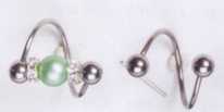 Edelstahlwechselring mit Schiene platinfarben