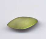 Muschelteile spitz-oval 22 x 8 mm - grün - Ausverkaufsartikel, Abgabe nur solange Vorrat reicht