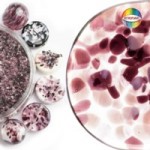 Violet Velvet - Im Zeichen der Sterne - Fische Dose mit 40 g