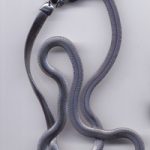 Schlangenkette oval aus Edelstahl Breite 4 mm, Dicke 2 mm, Länge 45 cm