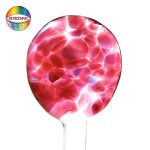 Fuchsia - Fritten  AK96 -  25 g